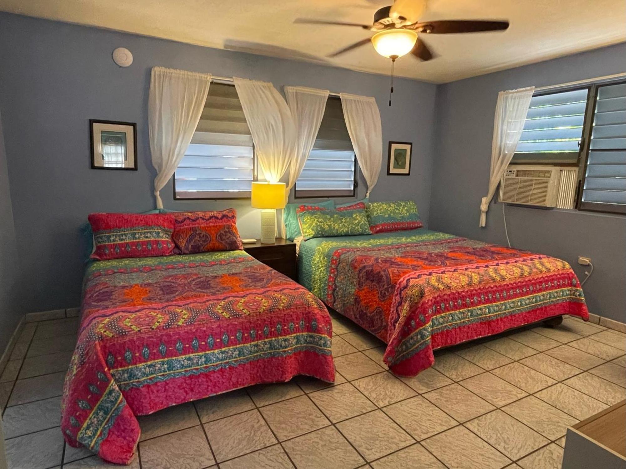 Esperanza Inn Guesthouse Vieques Habitación foto