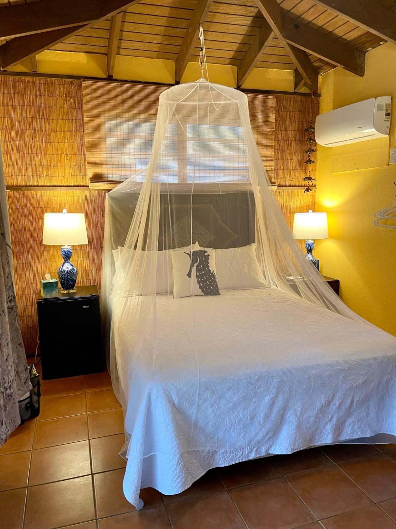 Esperanza Inn Guesthouse Vieques Habitación foto