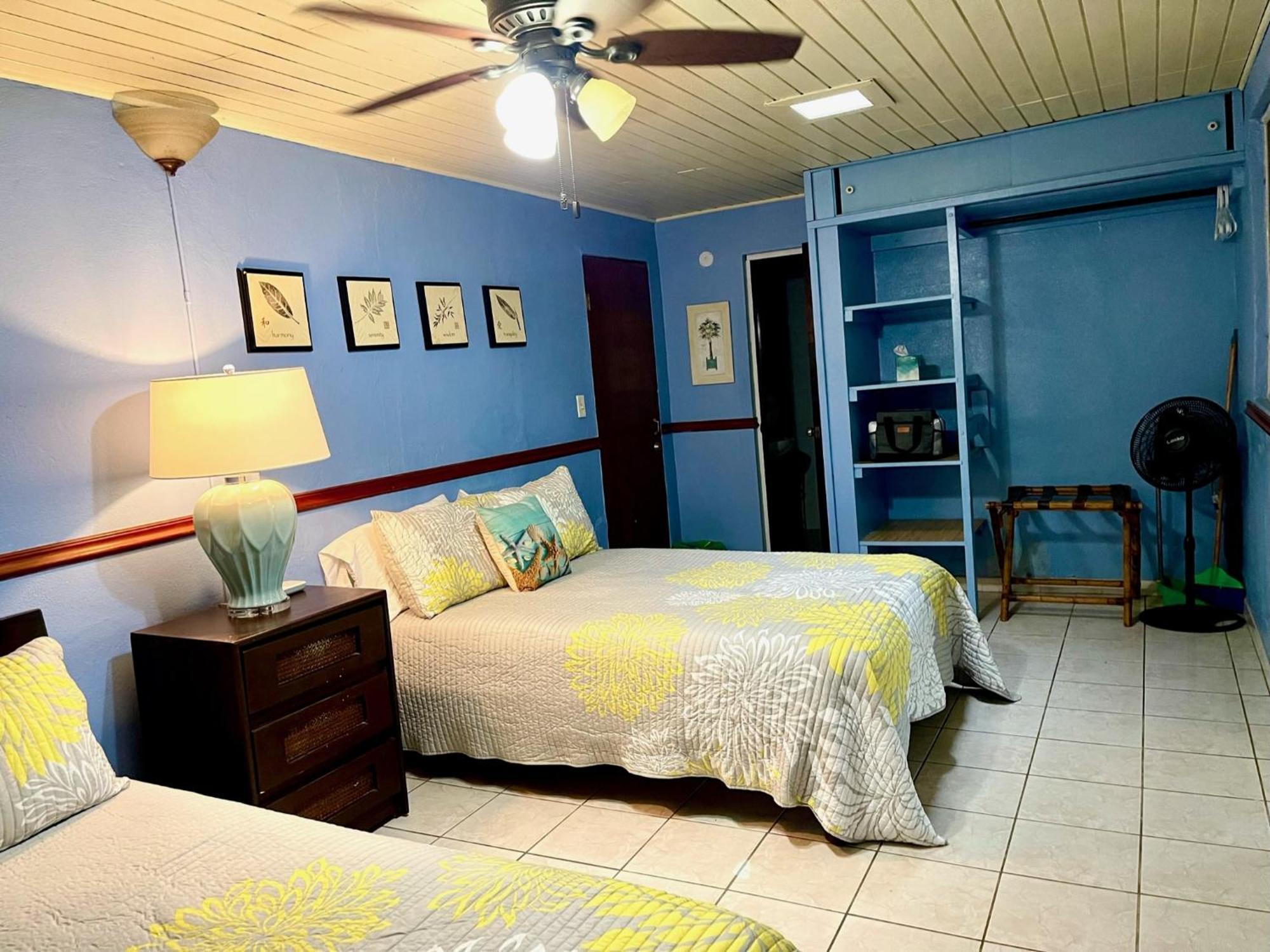 Esperanza Inn Guesthouse Vieques Habitación foto